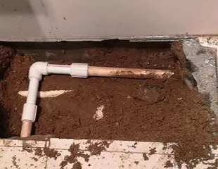 辉南测漏水哪家好