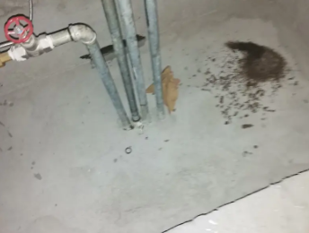 辉南卫生间测漏水价格明细