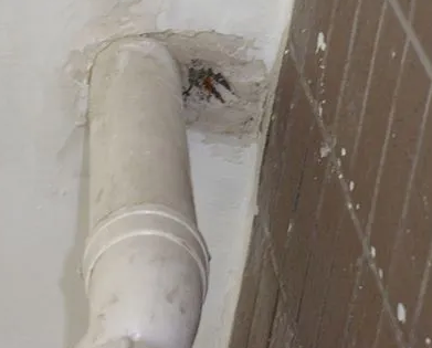 辉南漏水检测哪家好